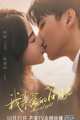 企业seo优化推广方案平台